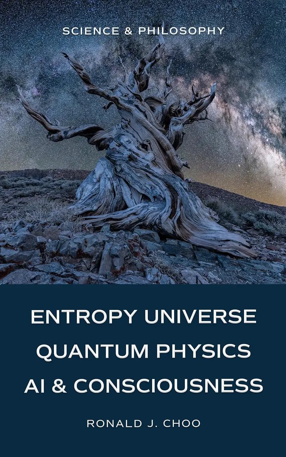 Cover of Entropy Universe Quantum Physics AI & Consciousness