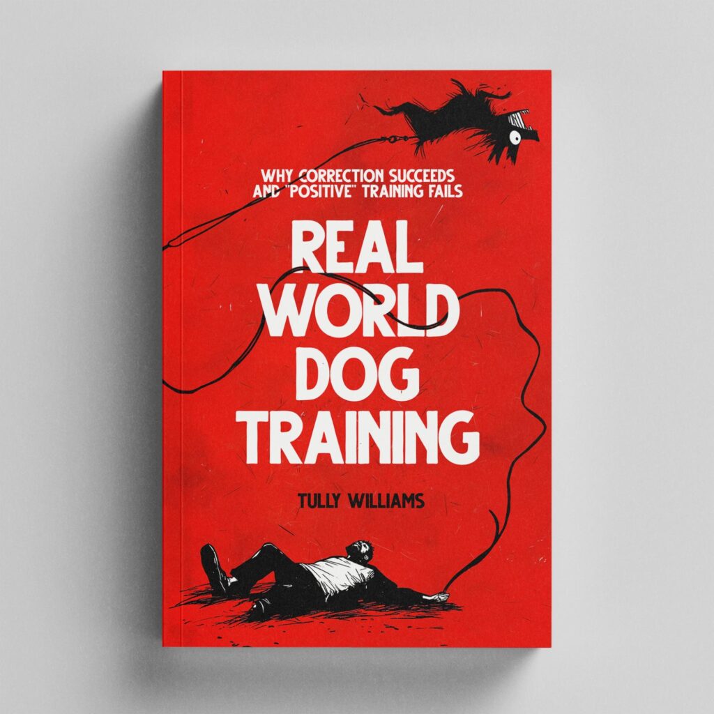 A bold and eye-catching book cover design with striking typography and dynamic illustration.