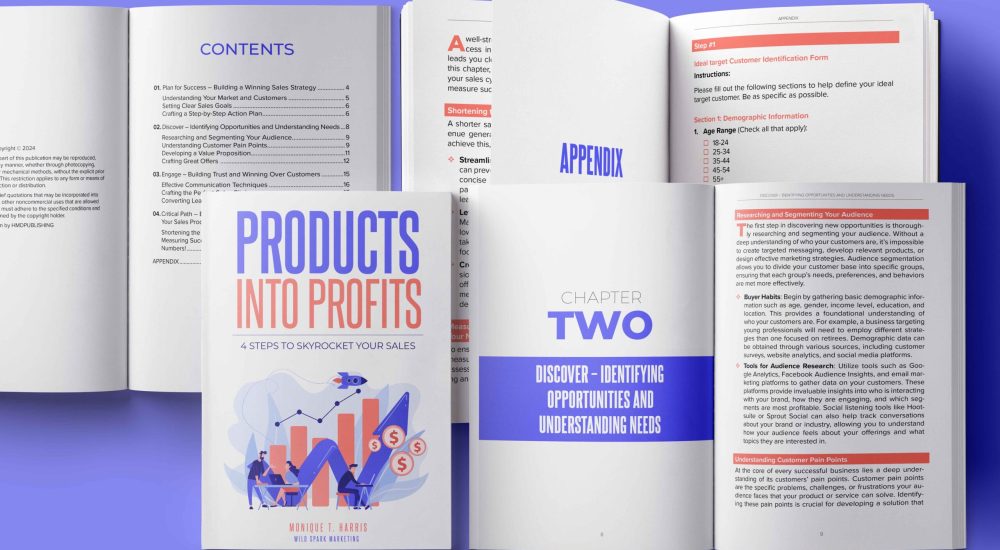 1---PRODUCTS-INTO-PROFIT